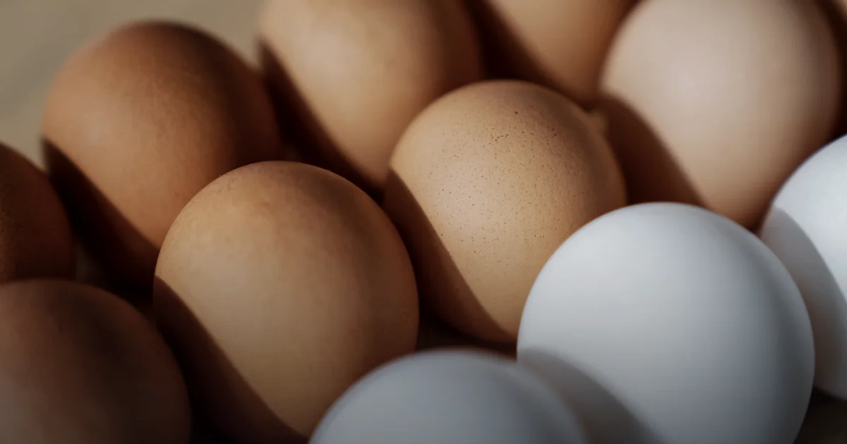 Protein für die Ausdauer: 1,8 g/kg und warum es dem Läufer nützt, nicht dem Bodybuilder